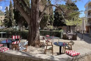 Sis Market Caf&eacute;