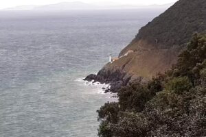 Taberna El Paloma Food & Drink