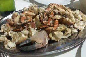 Taberna Flor de Malva