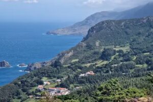 Taberna Hermanos Bouza