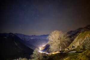 Tanau Sabor Gastrobar