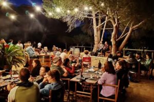 Tarannà Parc Forestal Mataró