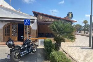 Taverna Octopus