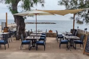 Terra Restaurante Italiano Pizzería