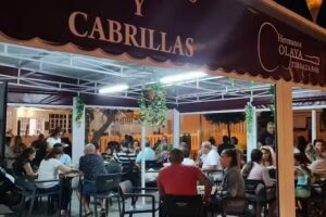 Terraza-Bar-Braser&iacute;a Hermanos Olaya