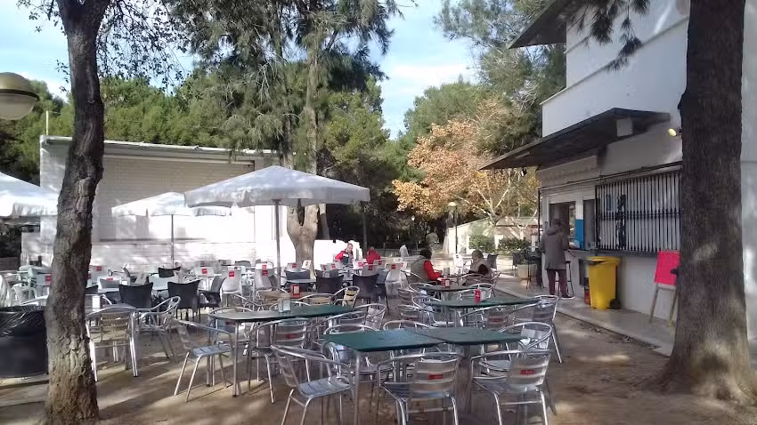 Terraza Bar Maldonado