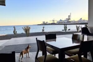 Tramontana Restaurante