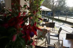 Txikottxikot Bar restaurante