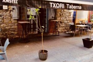 Txori Taberna Berria