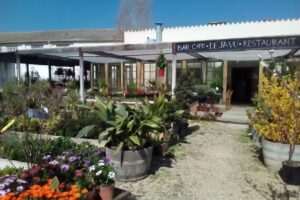 &Uacute;ltima Parada &ndash; Vintage Shop &ndash;