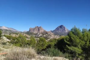 Venta del Segur&oacute;