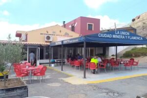 Venta El Descargador