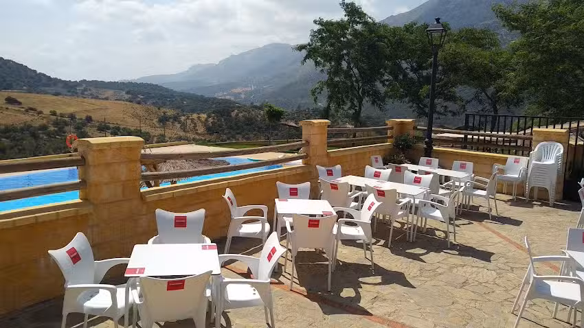 Venta la oveja negra