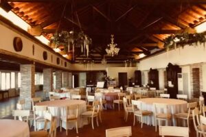 Vi&ntilde;edos Cigarral Santa Mar&iacute;a