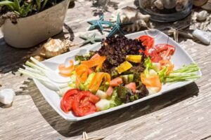 Vivero Beach Club Restaurant | Sitges