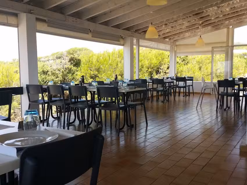Vogamar&iacute;