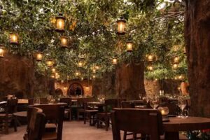 Voltereta Nueva Zelanda