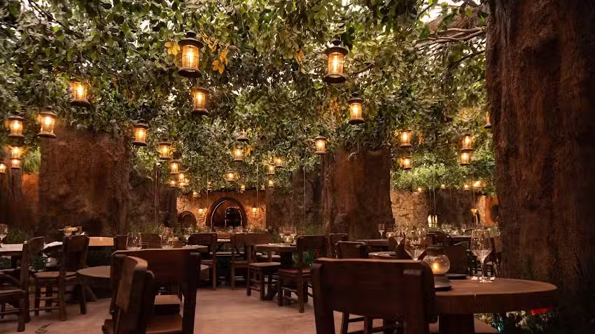 Voltereta Nueva Zelanda