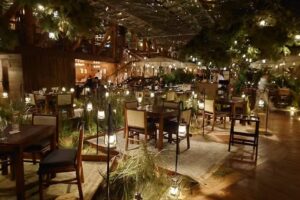 Voltereta Tanzania &ndash; Alicante