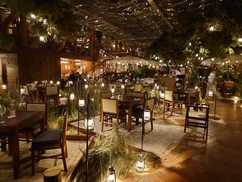 Voltereta Tanzania &ndash; Alicante