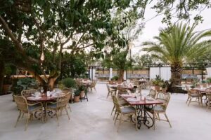 Zitya Ibiza | Restaurante, Bar & Lounge